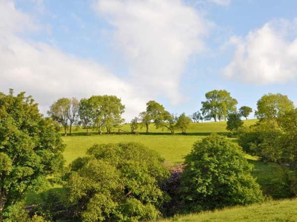 Hendre Aled Farmhouse Llansannan Экстерьер фото